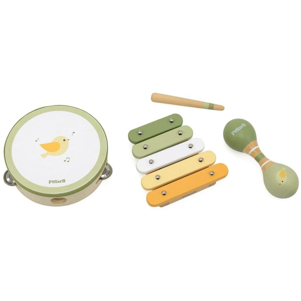Set de Instrumentos Musicales Polar B – Verde