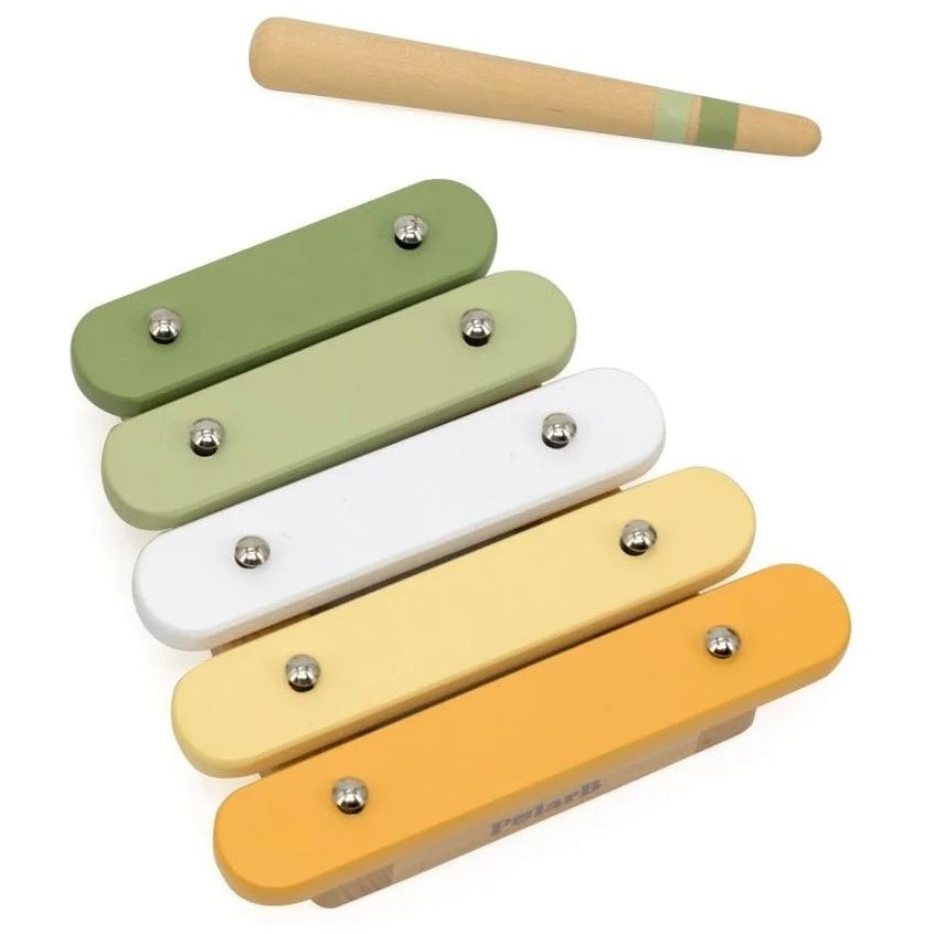 Set de Instrumentos Musicales Polar B – Verde