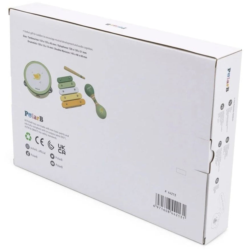 Set de Instrumentos Musicales Polar B – Verde